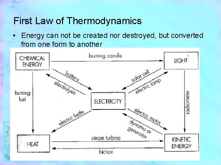 First Law of Thermodynamics • Energy can not be created nor destroyed, but converted