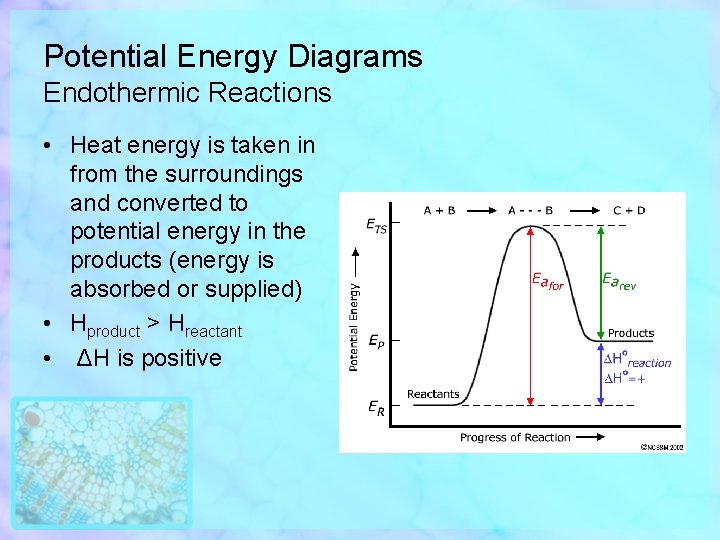Potential Energy Diagrams Endothermic Reactions • Heat energy is taken in from the surroundings