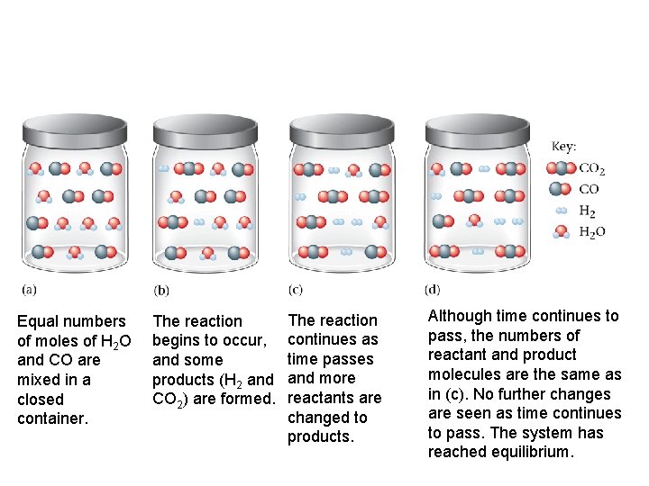 Equal numbers of moles of H 2 O and CO are mixed in a