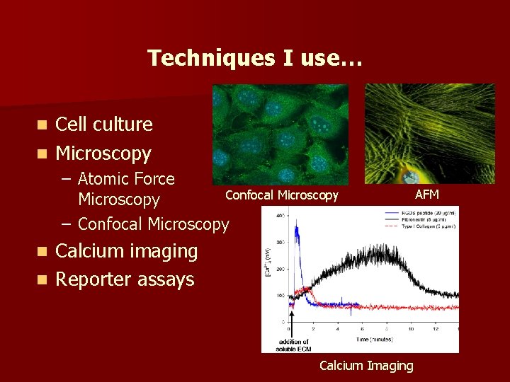 Techniques I use… Cell culture n Microscopy n – Atomic Force Confocal Microscopy –