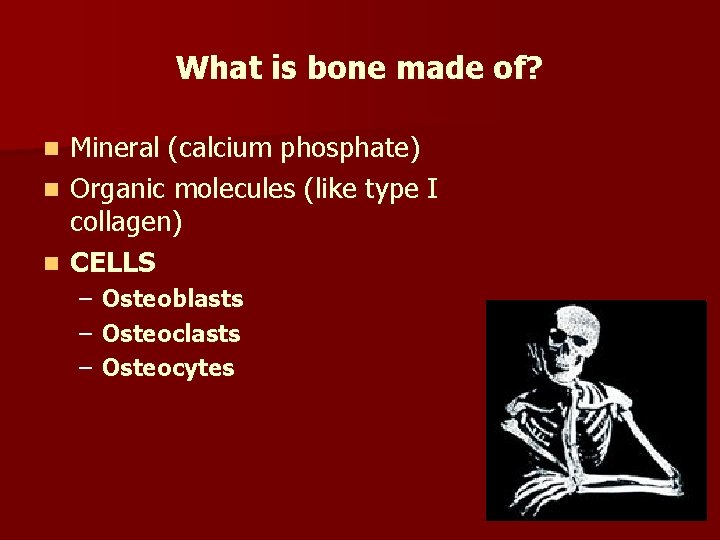 What is bone made of? Mineral (calcium phosphate) n Organic molecules (like type I