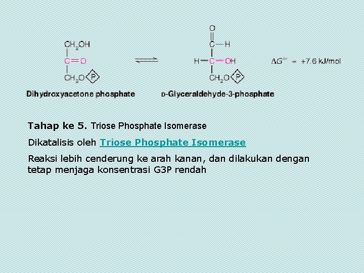 Tahap ke 5. Triose Phosphate Isomerase Dikatalisis oleh Triose Phosphate Isomerase Reaksi lebih cenderung