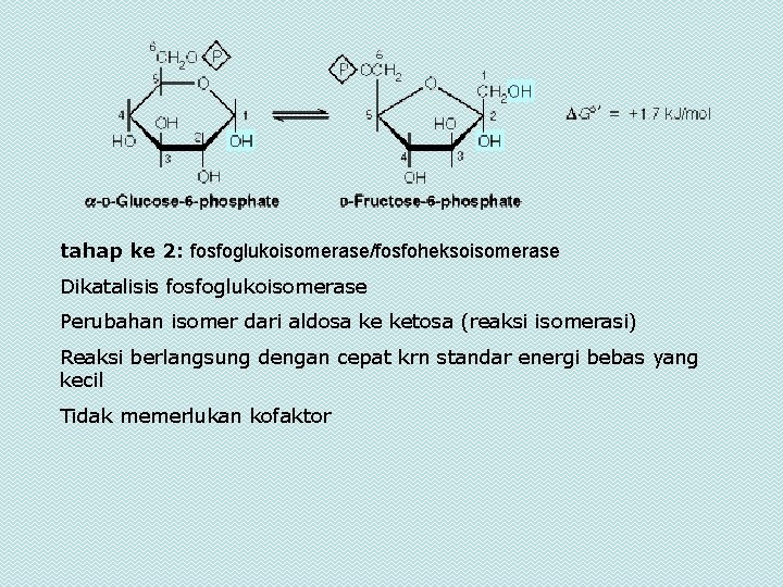 tahap ke 2: fosfoglukoisomerase/fosfoheksoisomerase Dikatalisis fosfoglukoisomerase Perubahan isomer dari aldosa ke ketosa (reaksi isomerasi)