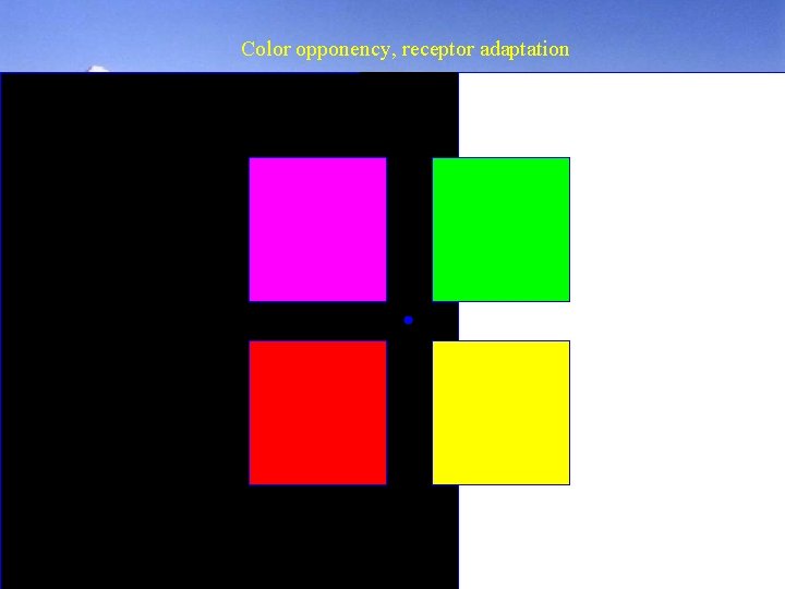 Color opponency, receptor adaptation 
