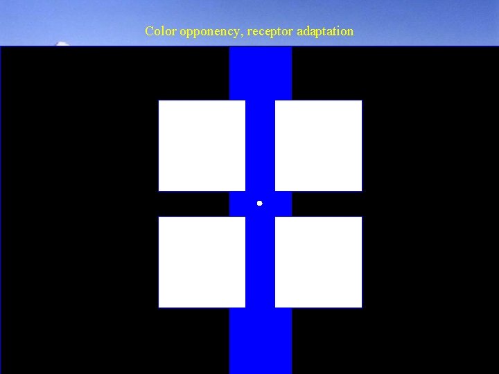Color opponency, receptor adaptation 