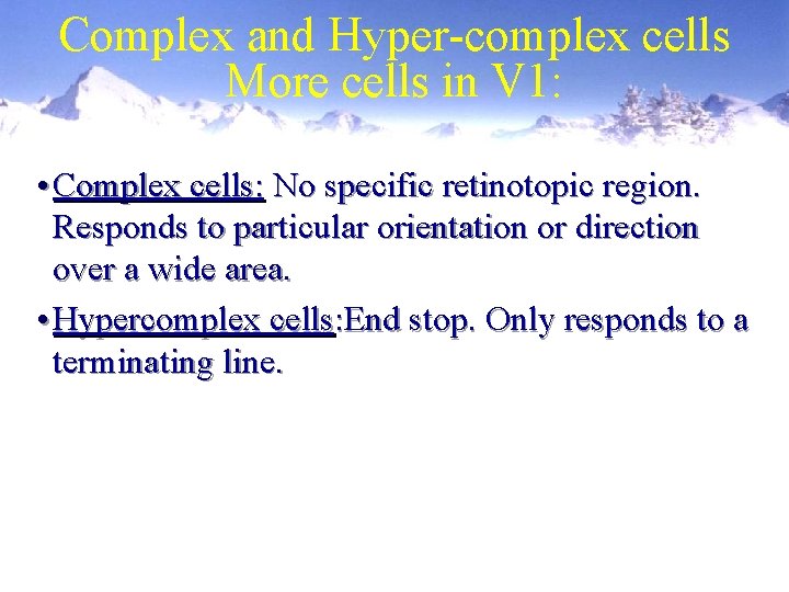 Complex and Hyper-complex cells More cells in V 1: • Complex cells: No specific