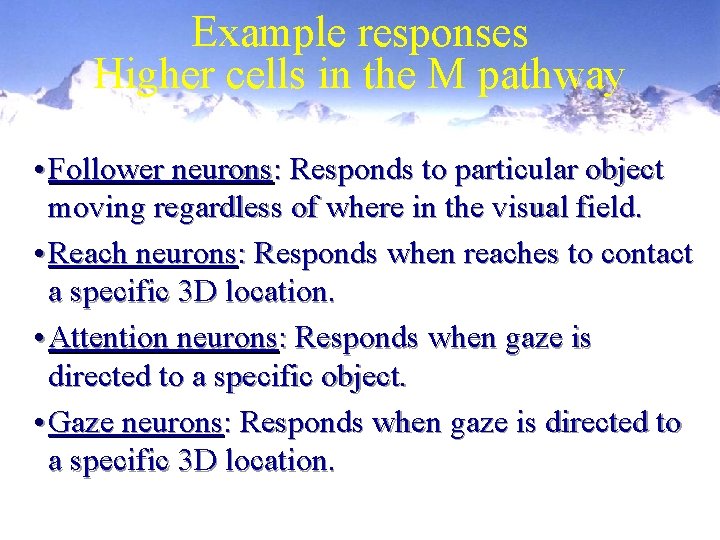 Example responses Higher cells in the M pathway • Follower neurons: Responds to particular