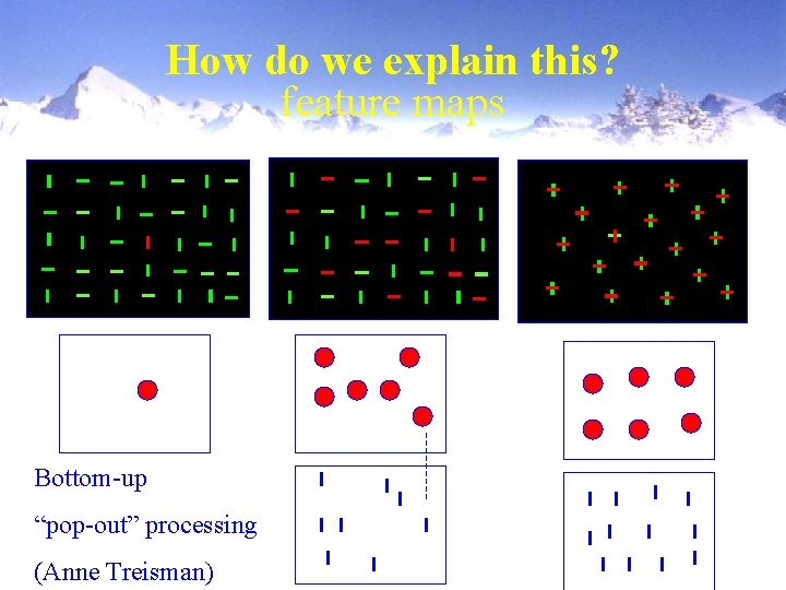 How do we explain this? feature maps Bottom-up “pop-out” processing (Anne Treisman) 