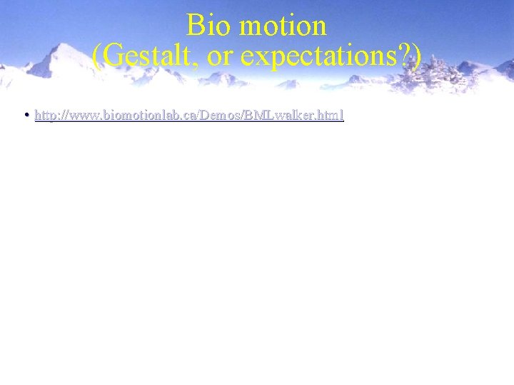 Bio motion (Gestalt, or expectations? ) • http: //www. biomotionlab. ca/Demos/BMLwalker. html 