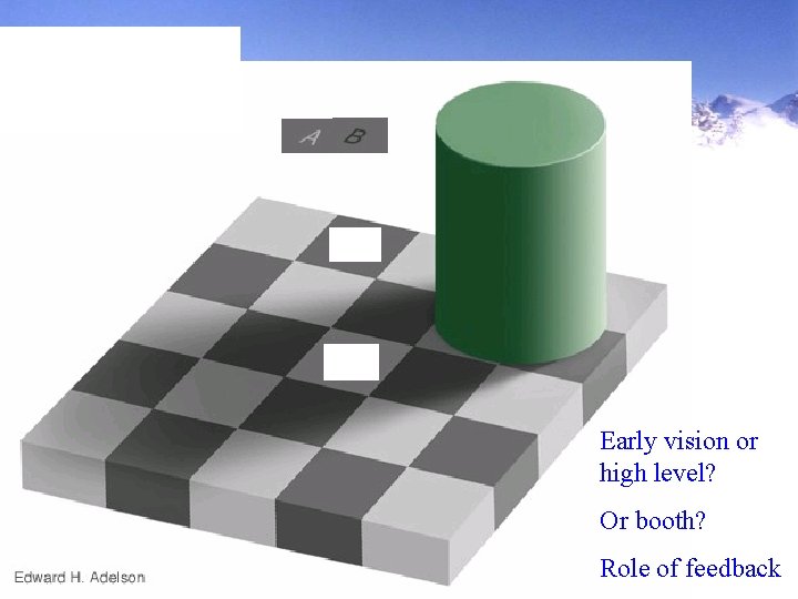 Early vision or high level? Or booth? Role of feedback 
