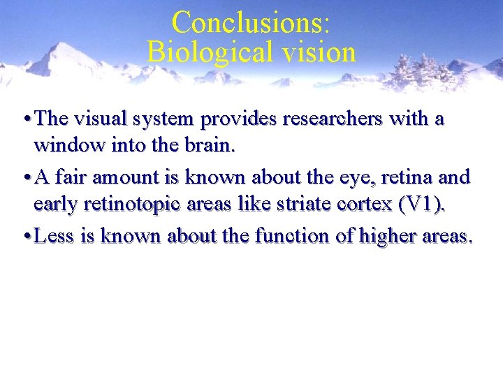 Conclusions: Biological vision • The visual system provides researchers with a window into the