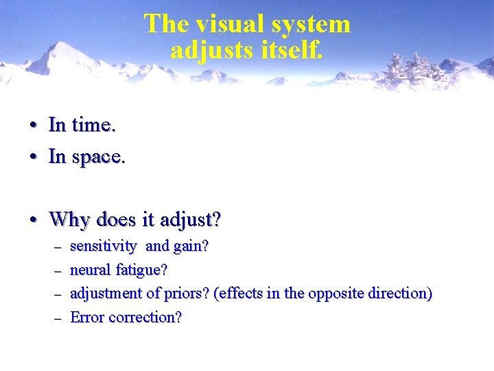 The visual system adjusts itself. • In time. • In space. • Why does