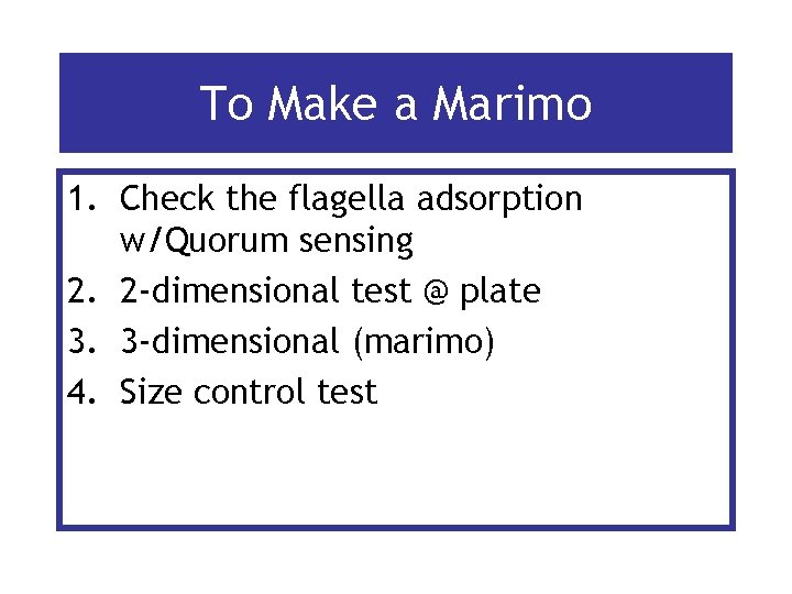 To Make a Marimo 1. Check the flagella adsorption w/Quorum sensing 2. 2 -dimensional