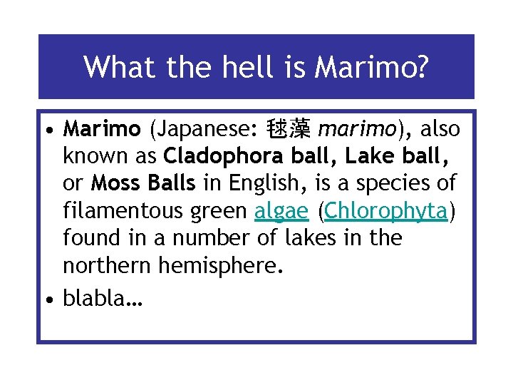 What the hell is Marimo? • Marimo (Japanese: 毬藻 marimo), also known as Cladophora