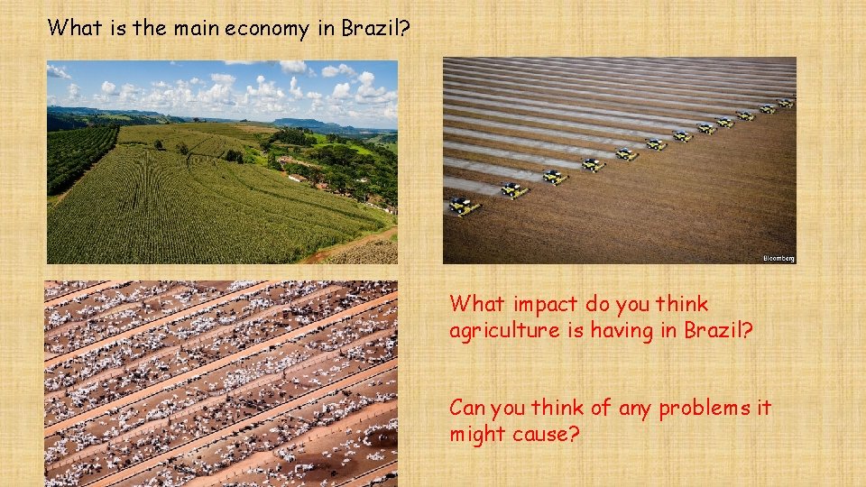 What is the main economy in Brazil? What impact do you think agriculture is