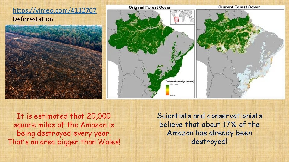 https: //vimeo. com/4132707 Deforestation It is estimated that 20, 000 square miles of the