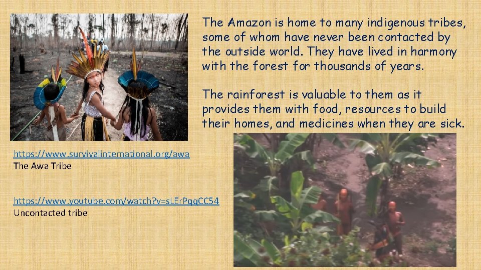 The Amazon is home to many indigenous tribes, some of whom have never been