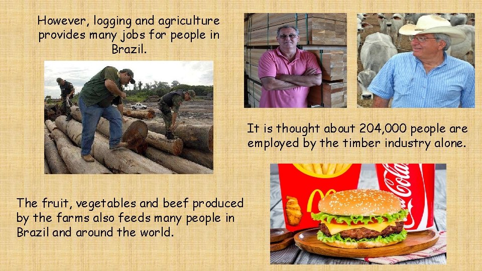 However, logging and agriculture provides many jobs for people in Brazil. It is thought