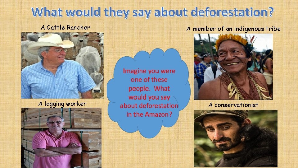 What would they say about deforestation? A Cattle Rancher A logging worker A member
