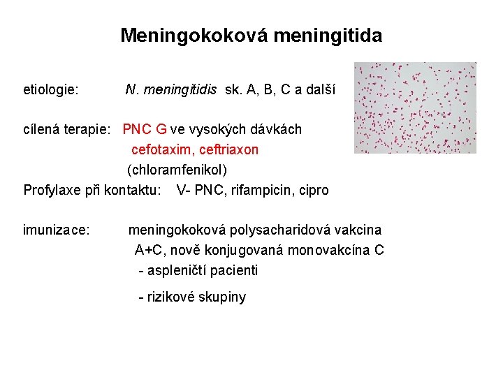 Meningokoková meningitida etiologie: N. meningitidis sk. A, B, C a další cílená terapie: PNC