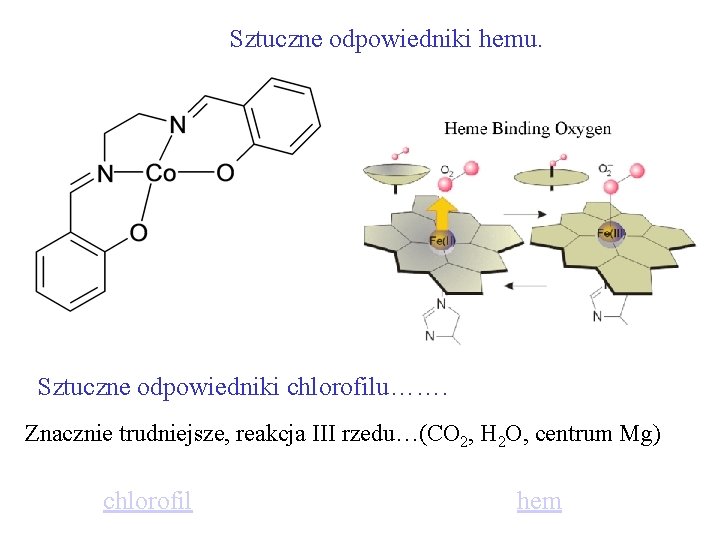 Sztuczne odpowiedniki hemu. Sztuczne odpowiedniki chlorofilu……. Znacznie trudniejsze, reakcja III rzedu…(CO 2, H 2