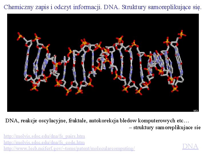 Chemiczny zapis i odczyt informacji. DNA. Struktury samoreplikujące się. DNA, reakcje oscylacyjne, fraktale, autokorekcja