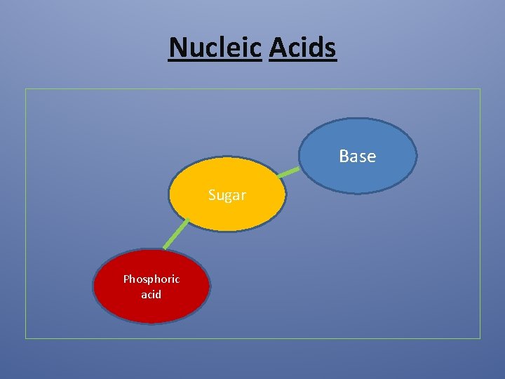 Nucleic Acids Base Sugar Phosphoric acid 