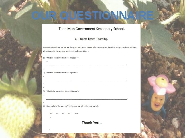 OUR QUESTIONNAIRE 