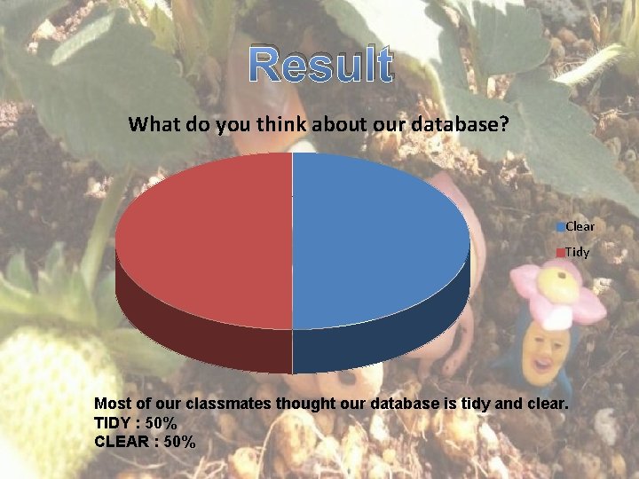 Result What do you think about our database? Clear Tidy Most of our classmates
