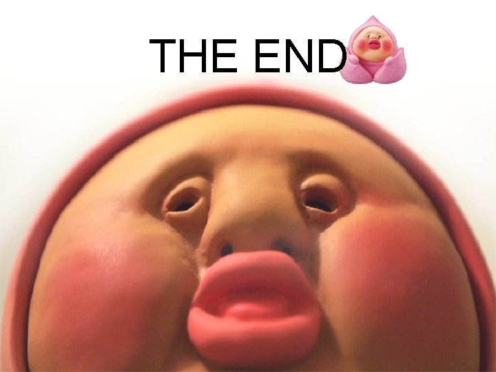 THE END 