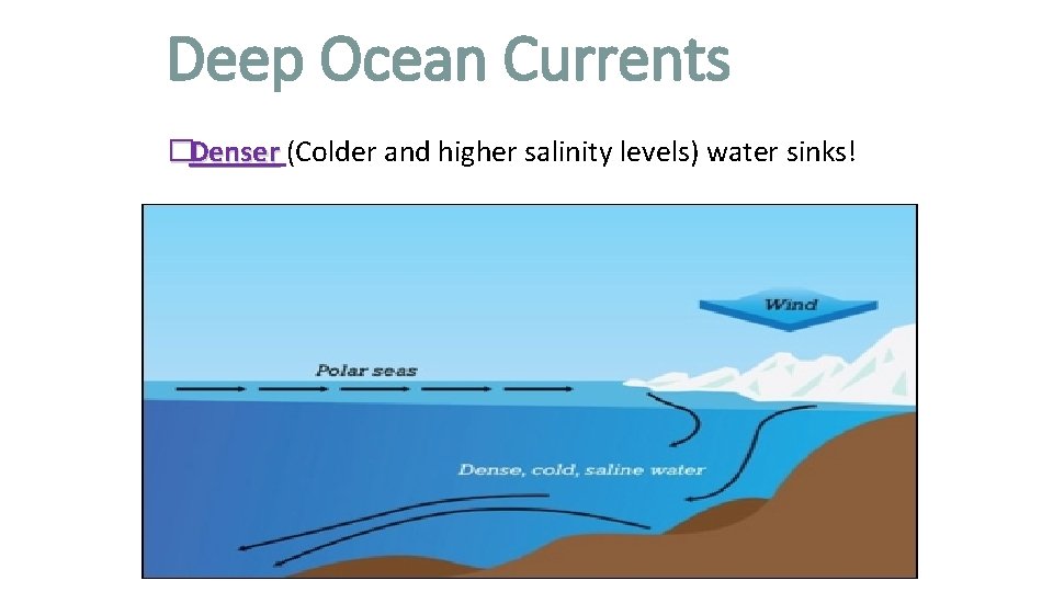 Deep Ocean Currents �Denser (Colder and higher salinity levels) water sinks! 