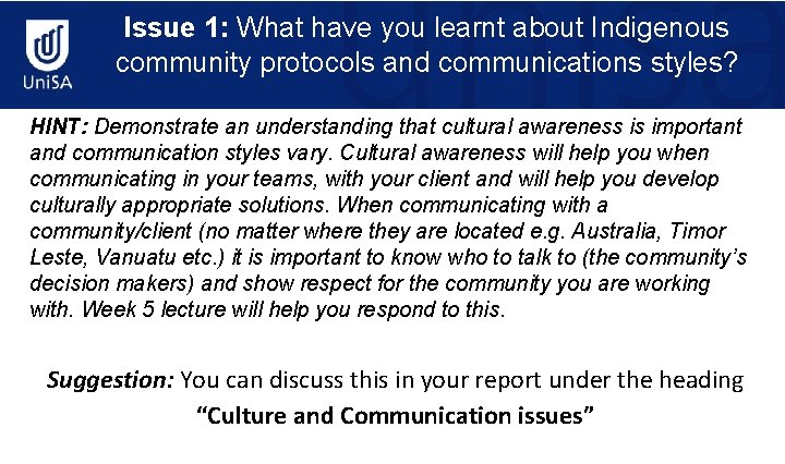 Issue 1: What have you learnt about Indigenous community protocols and communications styles? HINT: