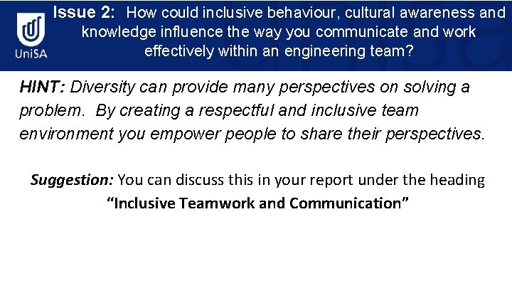 Issue 2: How could inclusive behaviour, cultural awareness and knowledge influence the way you