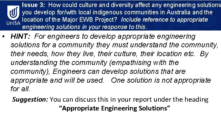 Issue 3: How could culture and diversity affect any engineering solutions you develop for/with
