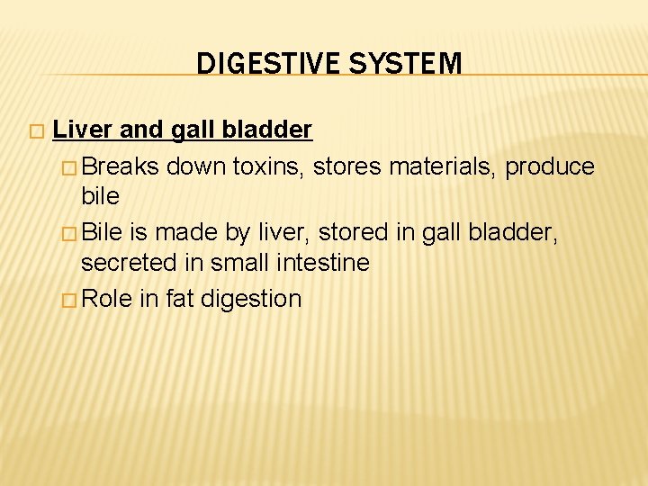 DIGESTIVE SYSTEM � Liver and gall bladder � Breaks down toxins, stores materials, produce
