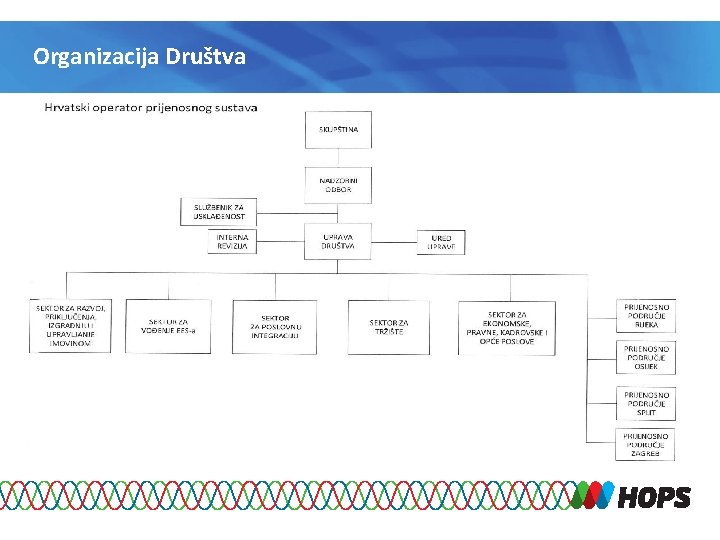 Organizacija Društva 