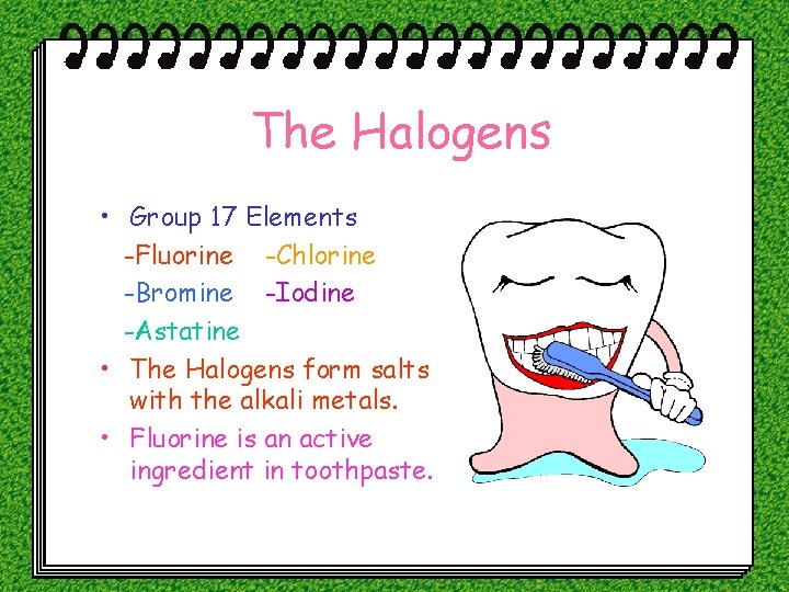 The Halogens • Group 17 Elements -Fluorine -Chlorine -Bromine -Iodine -Astatine • The Halogens