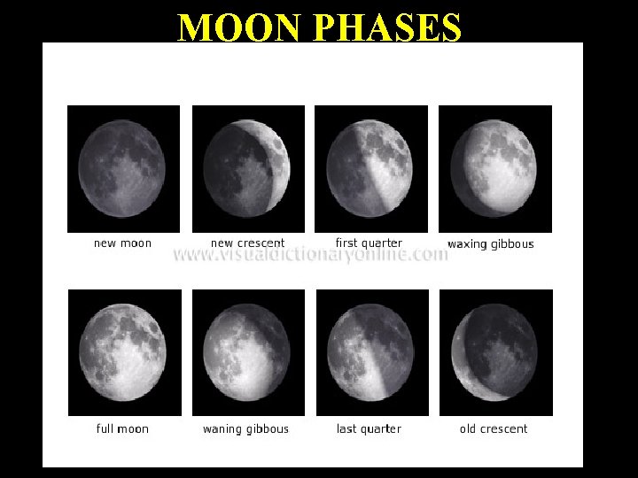 MOON PHASES 