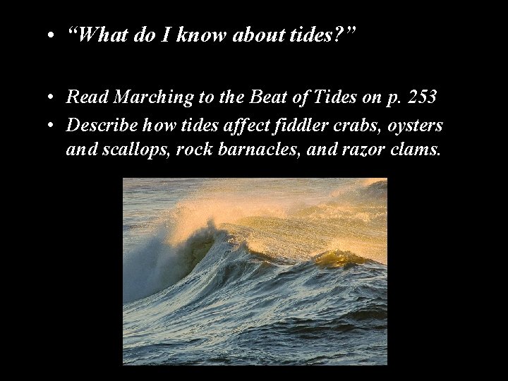  • “What do I know about tides? ” • Read Marching to the