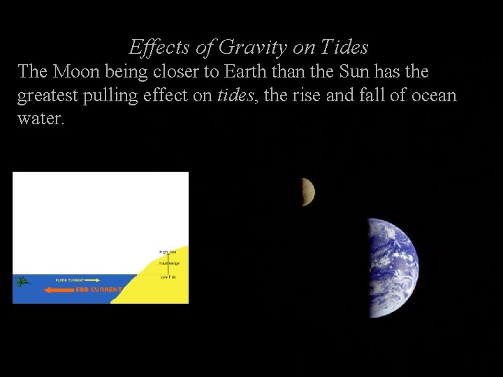 Effects of Gravity on Tides The Moon being closer to Earth than the Sun