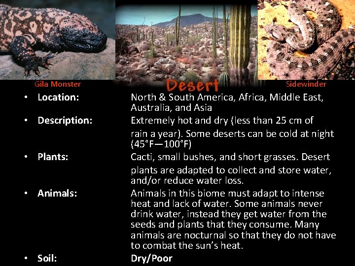 Gila Monster • Location: • Description: • Plants: • Animals: • Soil: Sidewinder North