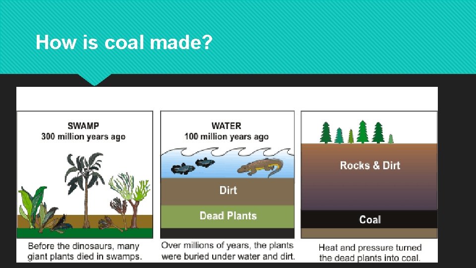 How is coal made? 