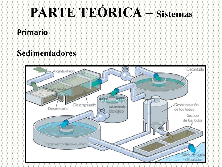 PARTE TEÓRICA – Sistemas Primario Sedimentadores 