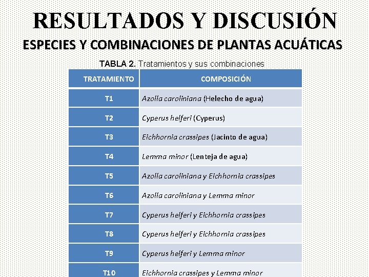 RESULTADOS Y DISCUSIÓN ESPECIES Y COMBINACIONES DE PLANTAS ACUÁTICAS TABLA 2. Tratamientos y sus