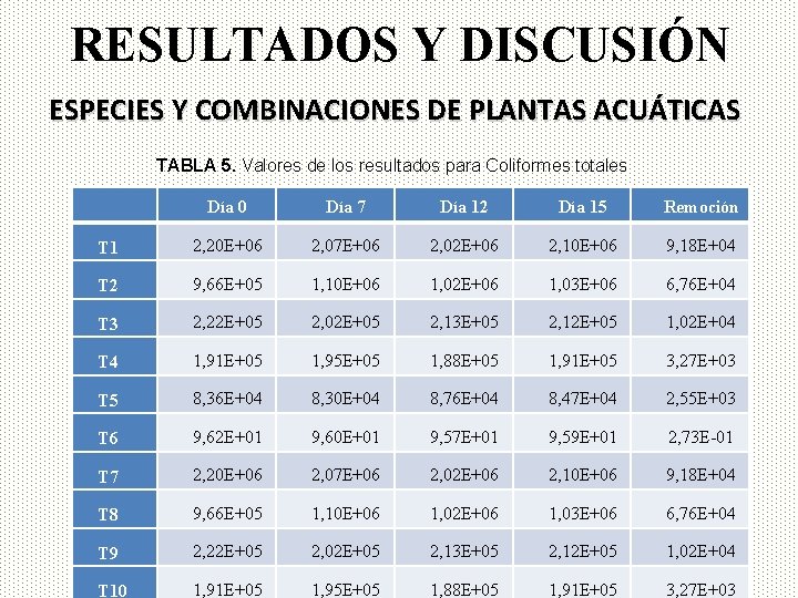 RESULTADOS Y DISCUSIÓN ESPECIES Y COMBINACIONES DE PLANTAS ACUÁTICAS TABLA 5. Valores de los