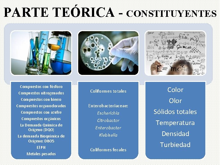 PARTE TEÓRICA - CONSTITUYENTES Compuestos con fósforo Compuestos nitrogenados Coliformes totales Compuestos con hierro