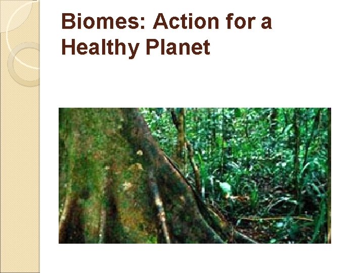 Biomes: Action for a Healthy Planet 