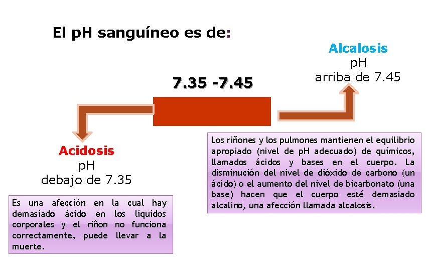 El p. H sanguíneo es de: 7. 35 -7. 45 Acidosis p. H debajo