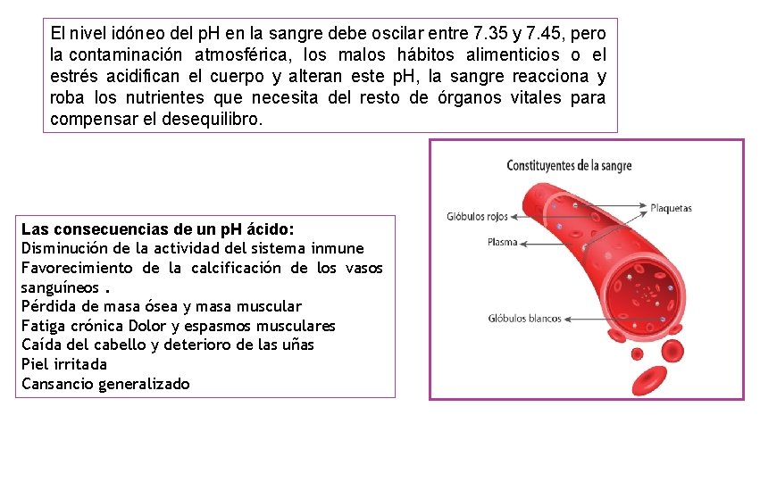 El nivel idóneo del p. H en la sangre debe oscilar entre 7. 35