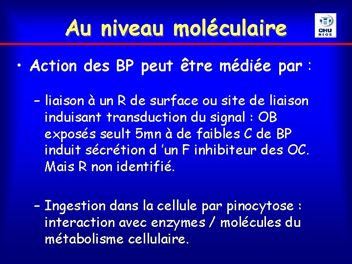 Au niveau moléculaire • Action des BP peut être médiée par : – liaison